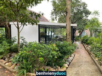 Avocado Yoga Retreat & Garden Thống Nhất Đồng Nai