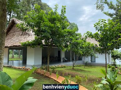 Avocado Yoga Retreat & Garden Thống Nhất Đồng Nai