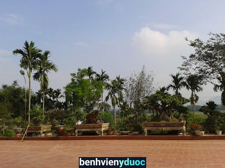 Bác sĩ đan Hạ Hoà Phú Thọ