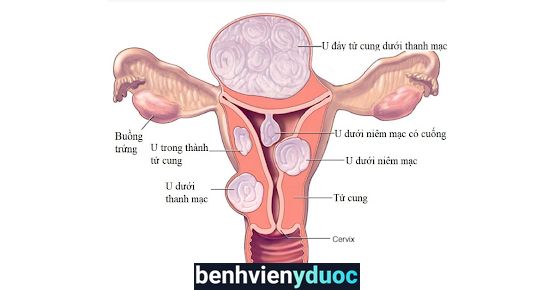 Bác sĩ Nguyễn Văn Thái Hai Bà Trưng Hà Nội