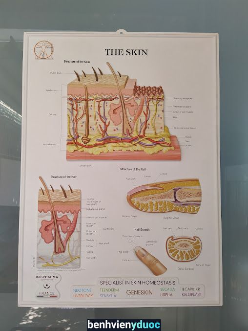 Bác sỹ HỒ BỘ - DA LIỄU