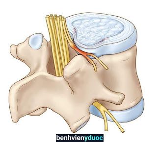 BẤM HUYỆT THẬP THỦ ĐẠO Tiên Du Bắc Ninh