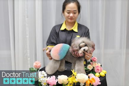 Bamin Pet Home ( Cắt tỉa lông, spa thú cưng uy tín Cần Thơ ) Ninh Kiều Cần Thơ
