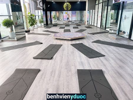 Bee Fitness Yoga & Pool Center Hoàng Mai Hà Nội