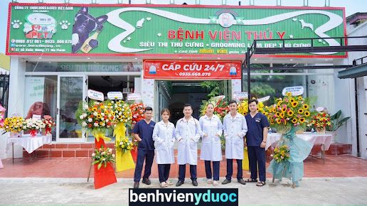 Benh Vien Da Khoa Thu Y Dogs & Cats Nui Thanh Núi Thành Quảng Nam