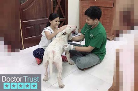 Bệnh viện thú y PetHealth Hà Đông Hà Đông Hà Nội