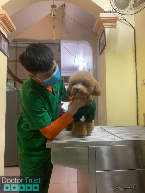 Bệnh viện thú y PetHealth Hà Đông Hà Đông Hà Nội