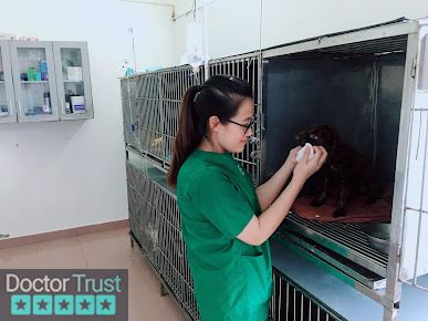 Bệnh viện thú y PetHealth Hà Đông Hà Đông Hà Nội