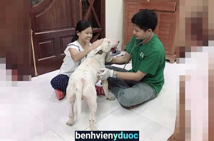 Bệnh viện thú y PetHealth Ninh Bình Ninh Bình Ninh Bình