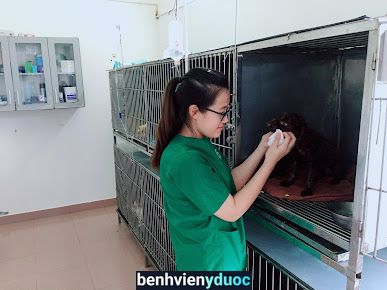 Bệnh viện thú y PetHealth Ninh Bình Ninh Bình Ninh Bình