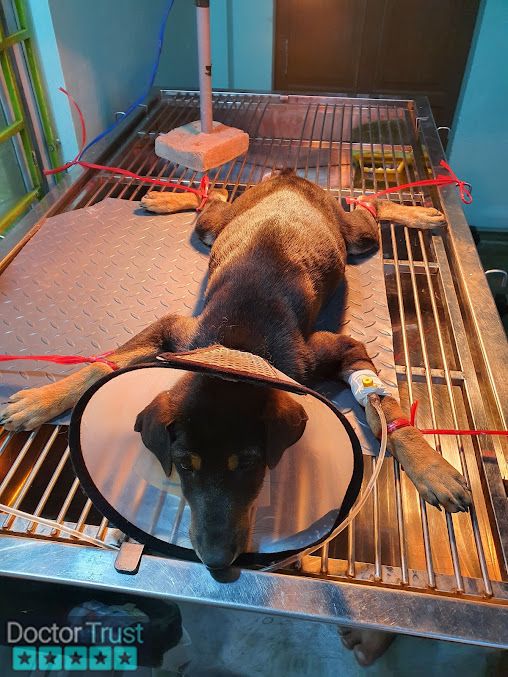 Bệnh viện thú y Relivet Quảng Trị Pet Hospital in Đông Hà City