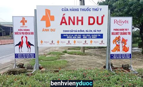 Bệnh viện thú y Relivet Quảng Trị Pet Hospital in Đông Hà City Đông Hà Quảng Trị