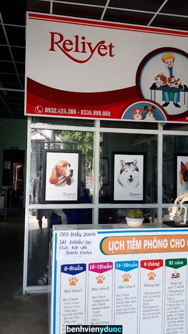 Bệnh viện thú y Relivet Quảng Trị Pet Hospital in Đông Hà City Đông Hà Quảng Trị