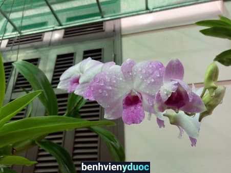 Chuyên Khoa Mắt Bác Sỹ Lợi