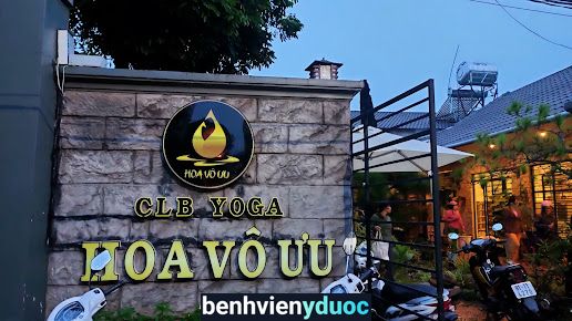 Clb Yoga Hoa Vô Ưu Pleiku Gia Lai