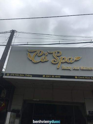 Cỏ spa