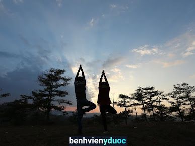 Cỏ Yoga.studio Tuy Phong Bình Thuận