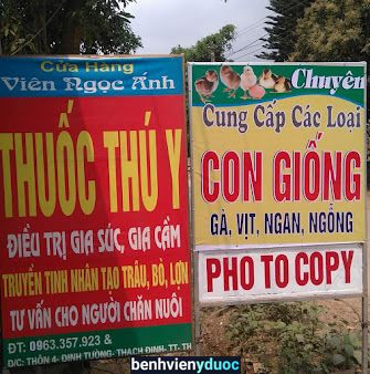 Con giống thuốc thú y viên ngọc ánh Thạch Thành Thanh Hóa