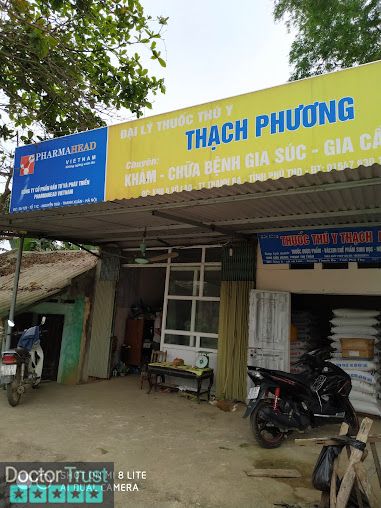 Đại Lý Phân Phối Thuốc Và Thức Ăn Chăn Nuôi Phạm Thị Phương Thanh Ba Phú Thọ