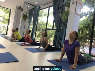 Daisy Yoga Hải Châu Đà Nẵng