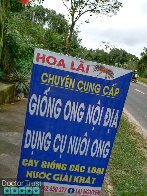 Đông y gia truyền hoa lài