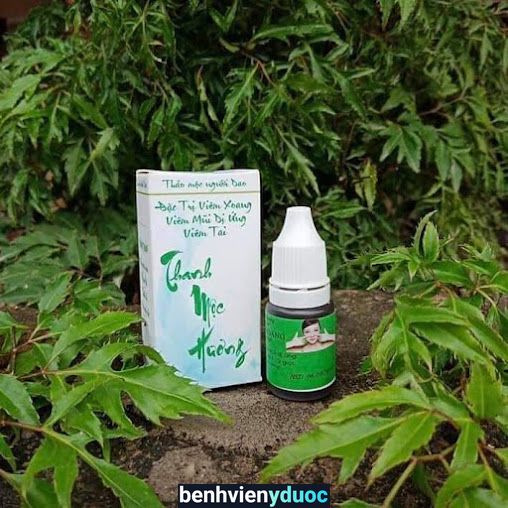 Đông Y Thanh Mộc Hương Bình Thuận Hàm Thuận Nam Bình Thuận