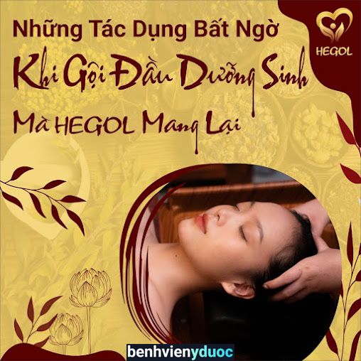 Dưỡng Sinh Đông Y Hegol - Lê Đại Hành 11 Hồ Chí Minh