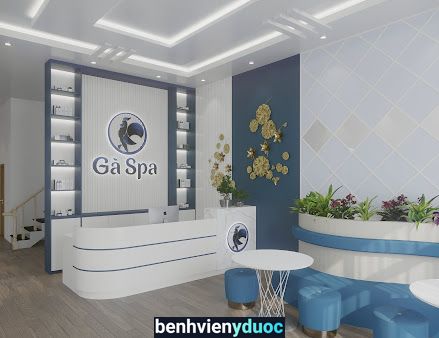 Gà Spa Trảng Bàng