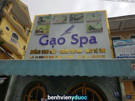 Gạo Spa - gaospa.vn Huế Thừa Thiên Huế