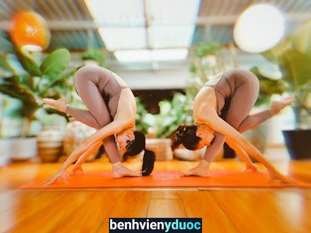 Hera Yoga Gò Vấp Gò Vấp Hồ Chí Minh