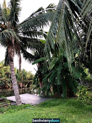 Hueleyoga Hội An Quảng Nam