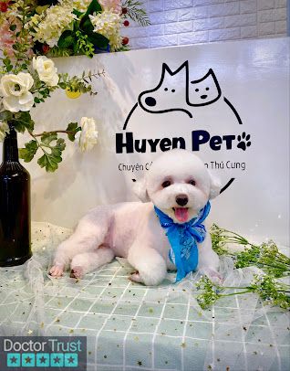 HUYEN PET SPA Hoàng Mai Hà Nội