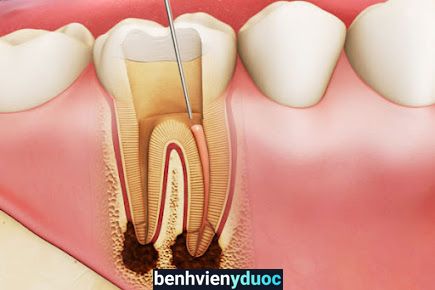 K DENTIST - Nha khoa ở Quy Nhơn Quy Nhơn Bình Định