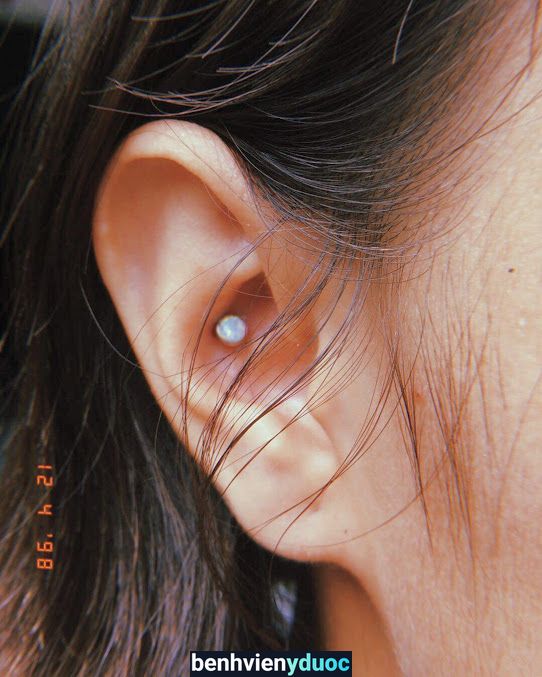 Living Room Piercing - Xỏ Khuyên Sài Gòn TP.HCM 7 Hồ Chí Minh