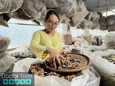 Lương y Nguyễn Thị Thái - nhà thuốc nam gia truyền ở Hà Giang Bắc Quang Hà Giang