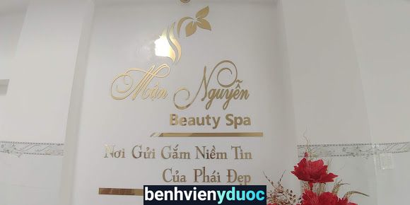 Mận Nguyễn Spa Phú Hoà Phú Yên