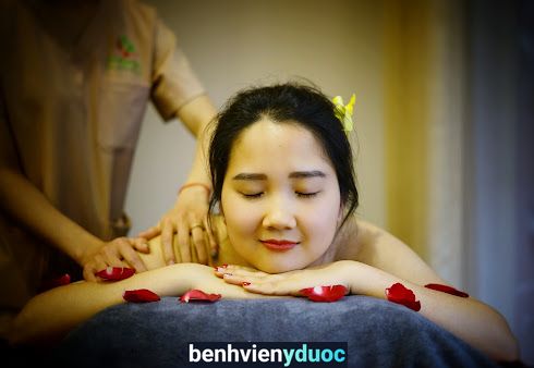 Massage Đông Y Trị Liệu Đan Phượng Hà Nội