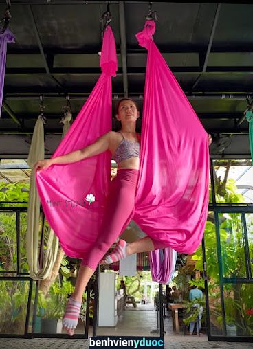 Mint Studio Hoi An - Aerial/Yoga/Pilates studio Hội An Quảng Nam