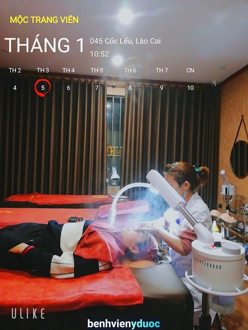 MỘC TRANG VIÊN - Phòng Chuẩn Trị Y Học Cổ Truyền Lào Cai Lào Cai
