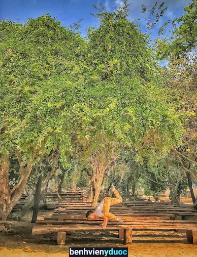 Nguyên Yoga - Lớp Yoga cho Người Mới | HCM 3 Hồ Chí Minh