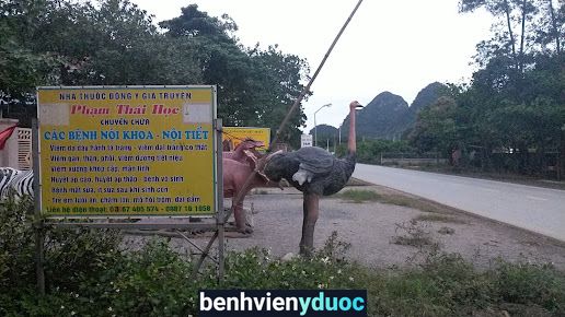 Nhà thuốc đông y Thái Học