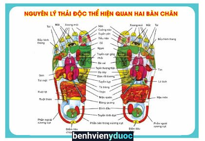 NHÀ THUỐC ĐÔNG Y VÌ SỨC KHOẺ VÀNG CỦA BẠN & TÔI Thái Nguyên Thái Nguyên