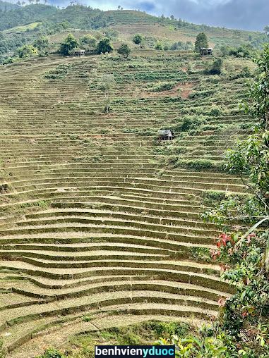 Nhà thuốc Hoàng Lan Tân Uyên Lai Châu