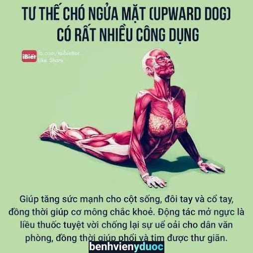 Nhà Thuốc Lớn Quy Nhơn Số 9 Quy Nhơn Bình Định