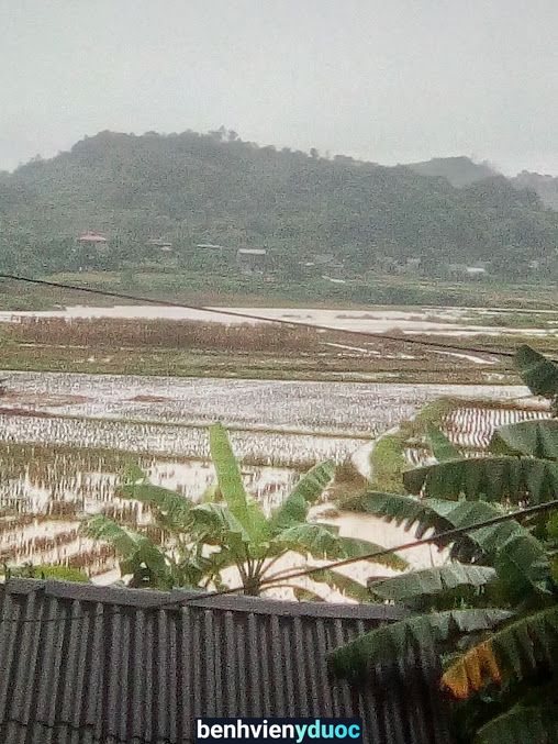 Nhà Thuốc Minh Quân