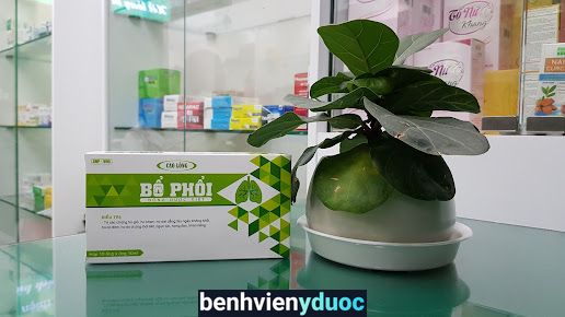 Nhà Thuốc Thân Thiện Cầu Giấy Hà Nội