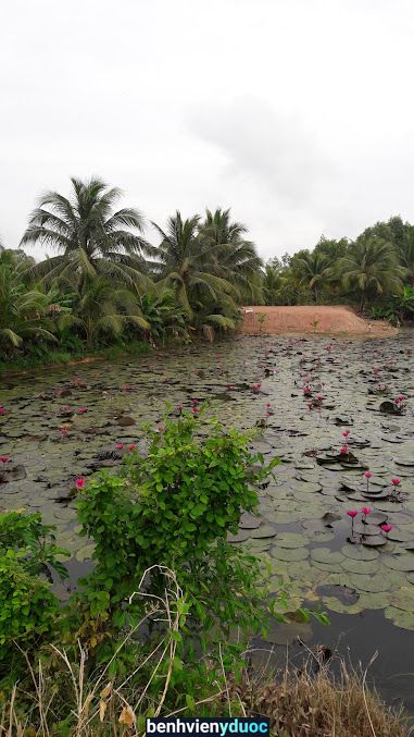 Nhà Thuốc Tôn Văn Dạo Vĩnh Hưng Long An