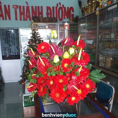 Phòng Chẩn Trị Đông Y Tân Thành Đường Diên Khánh Khánh Hòa