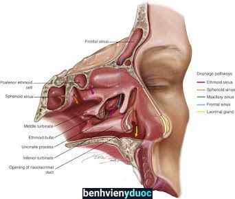 Phòng khám Bệnh ngoài giờ Thạc sĩ. Bs Nguyễn Duy Khang Chợ Lách Bến Tre