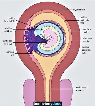 Phòng khám sản phụ khoa Tâm Đức